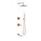 Gold Shower Wall Set Bathroom Rose Fixtures Handshower Standing Column Golden Cixi Sey Built In Rainfall Big Mixer Brushed