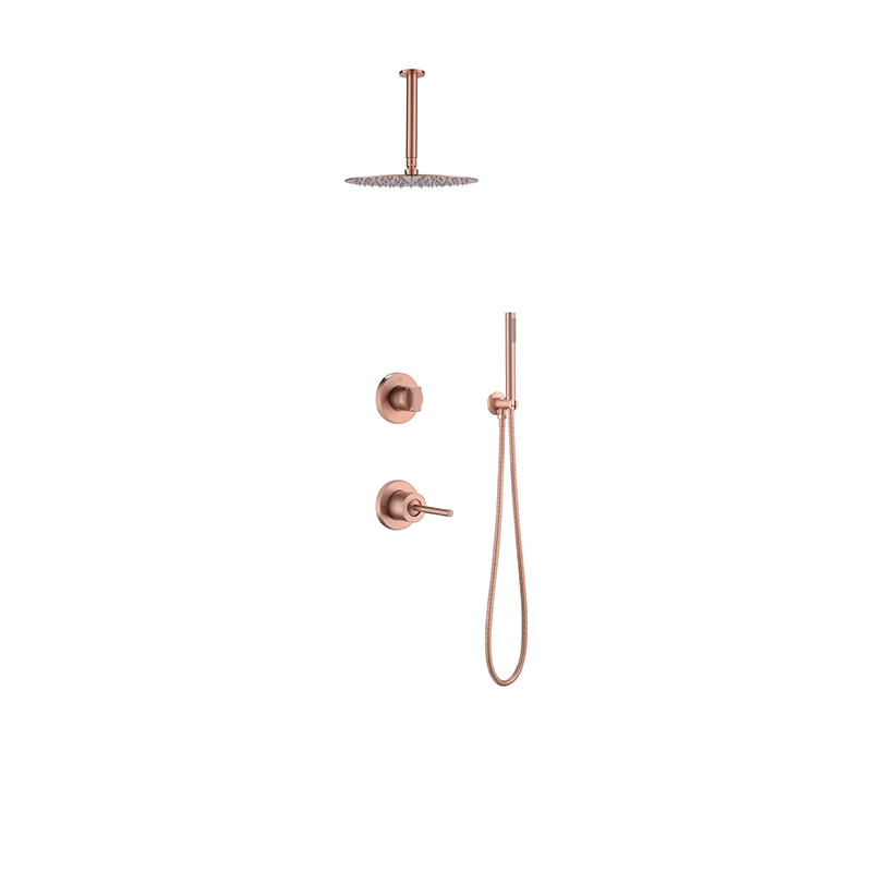 Rainfall Shower Mixer 1101008